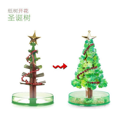 Magical Growth Tree – 魔法の成長樹o)